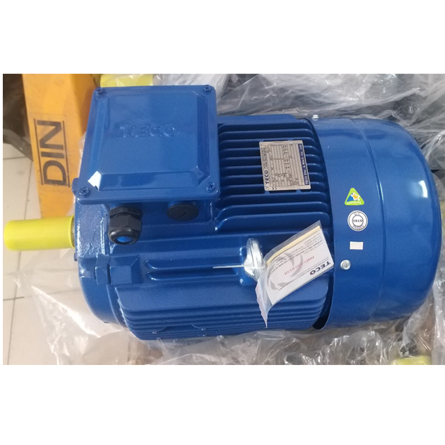 Motor TECO Chân Đế IE2 - 6Poles